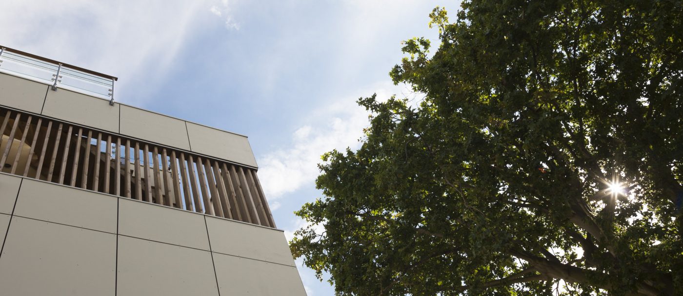 Philippe_Zerbib_Architecte_construction_maisons_ossature_bois_projet_maison_surelevation_Babey__MG_5703