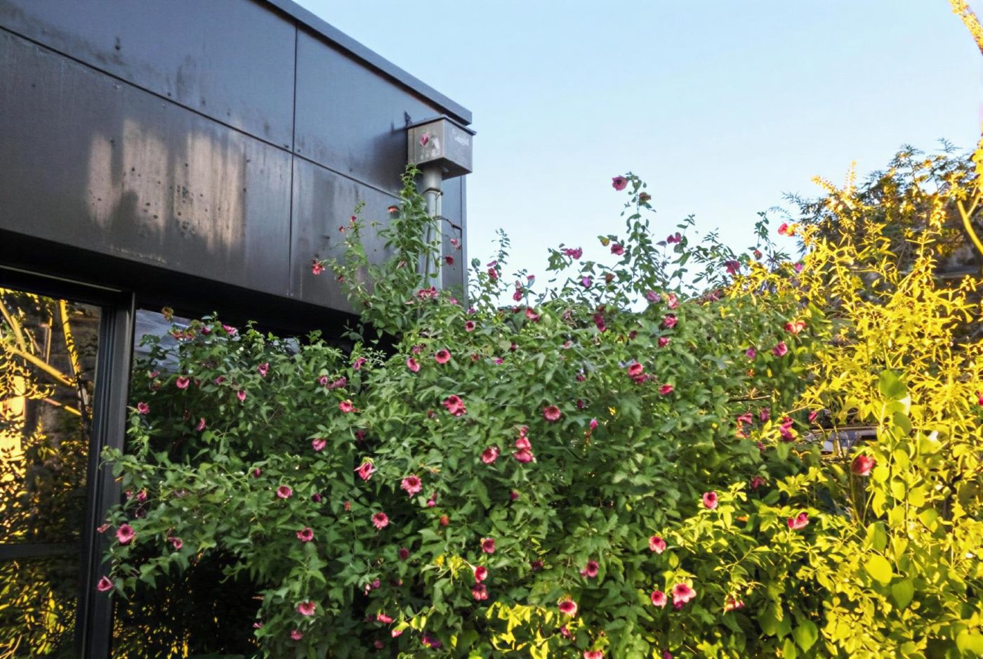 Philippe_Zerbib_Architecte_construction_maisons_contemporaines_ossature_bois_projet_maison_Maillar1771004762860