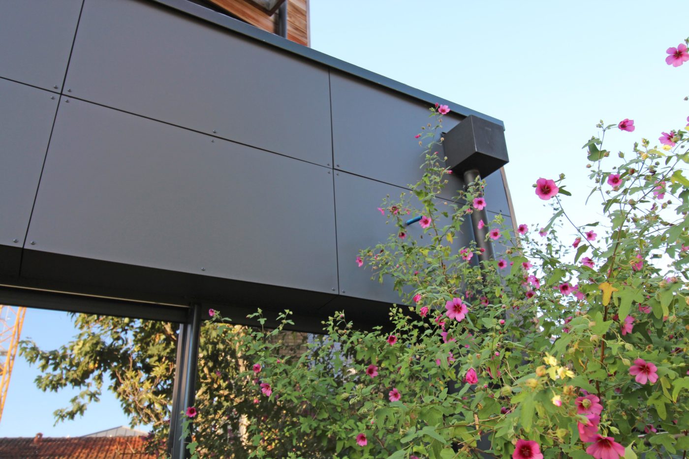 Philippe_Zerbib_Architecte_construction_maisons_contemporaines_ossature_bois_projet_maison_Maillard_IMG_0137